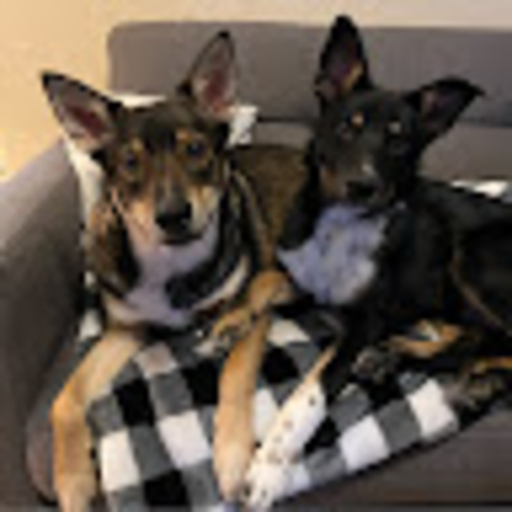 Meet your Posher, Jake